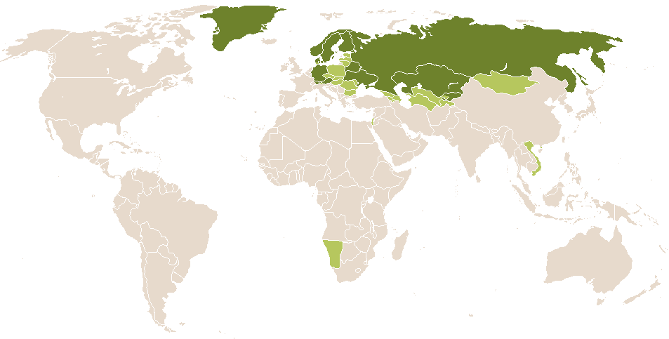 world popularity of Arina
