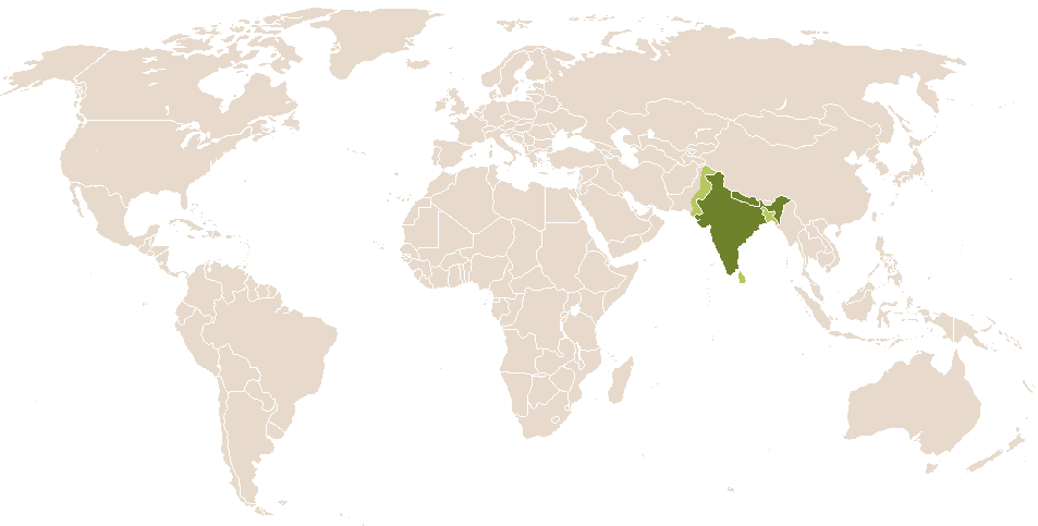 world popularity of Tika