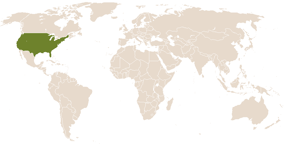 world popularity of Tajuana
