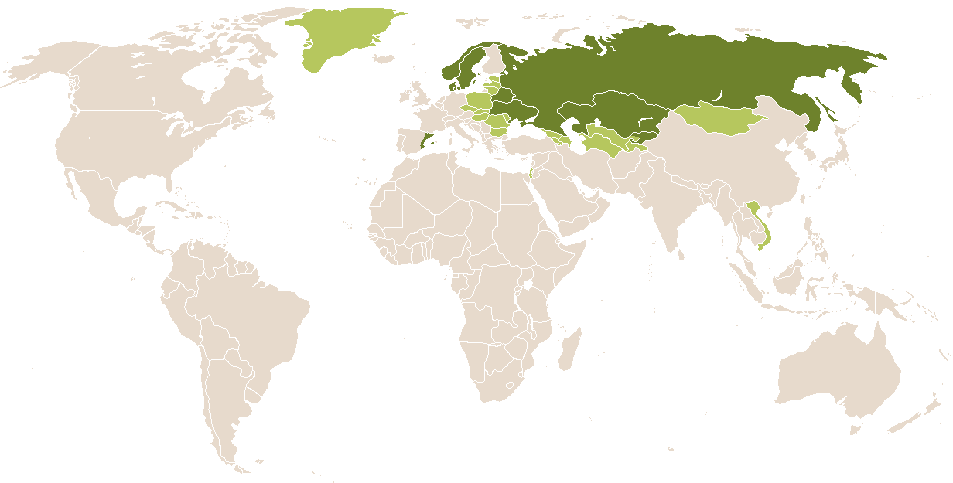 world popularity of Ricard