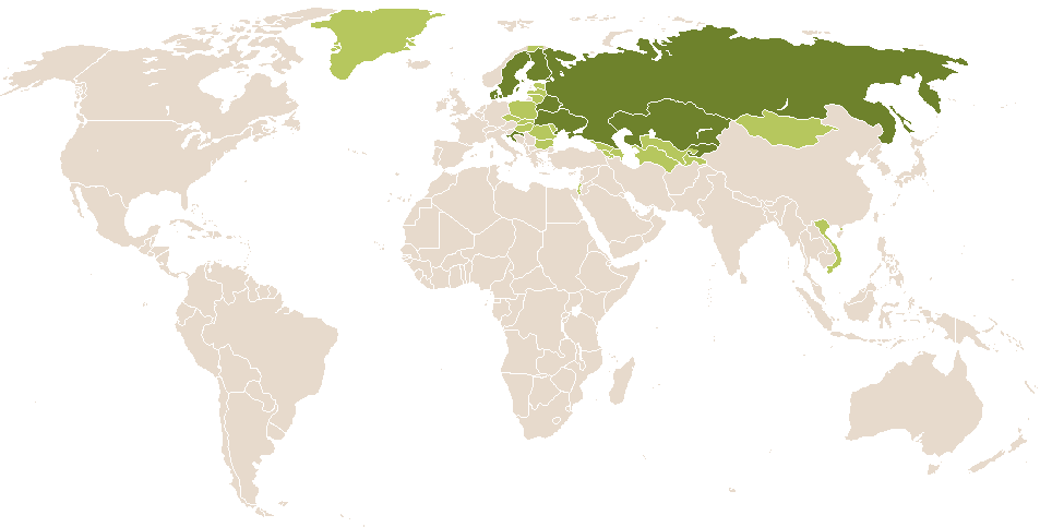 world popularity of Ninka