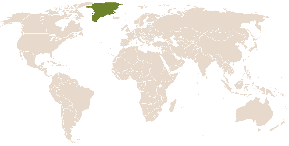 world popularity of Iingka