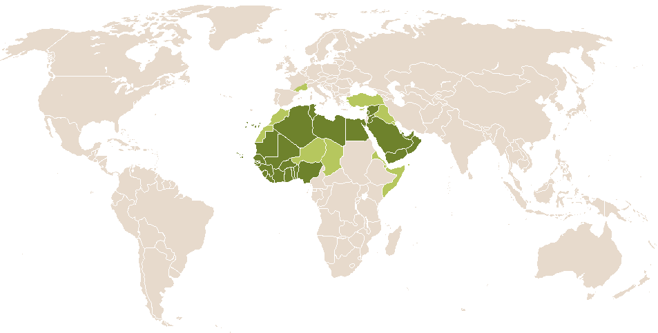 world popularity of Abubaker