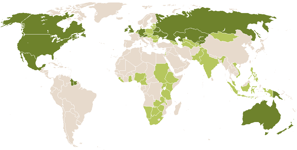 world popularity of Frida