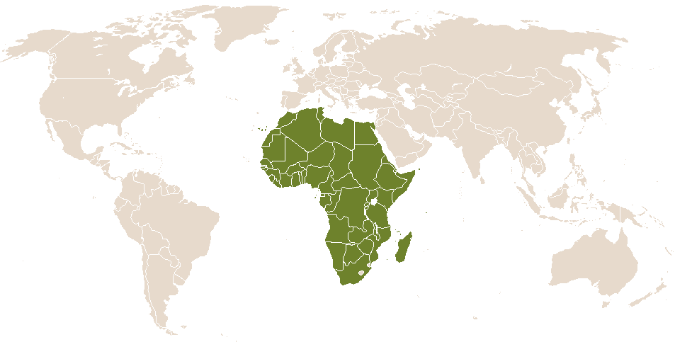world popularity of Idrissa