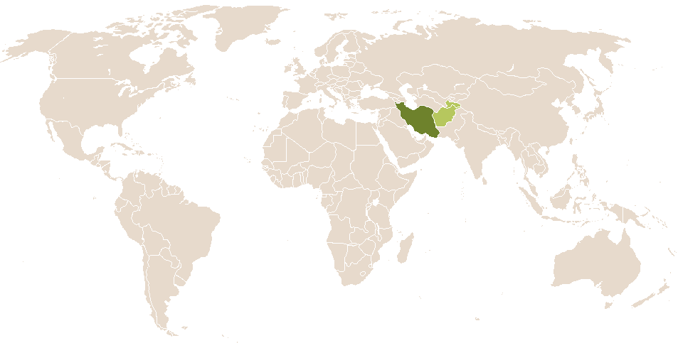 world popularity of Dariush