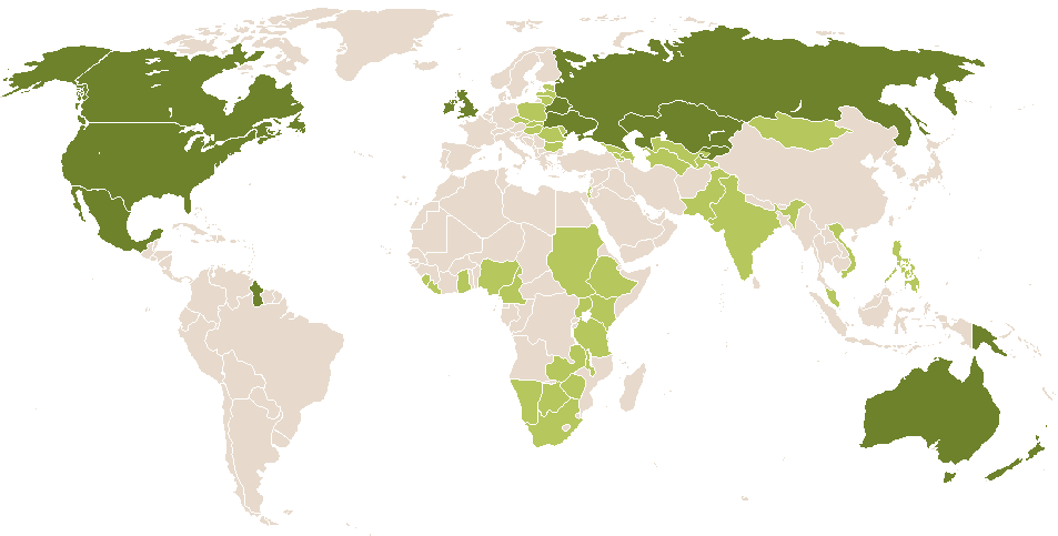 world popularity of Khristina