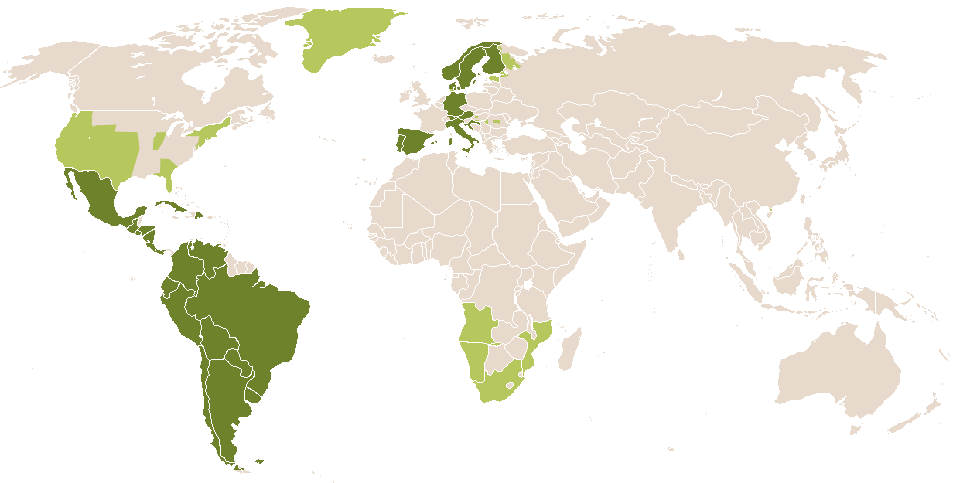 world popularity of Bruna