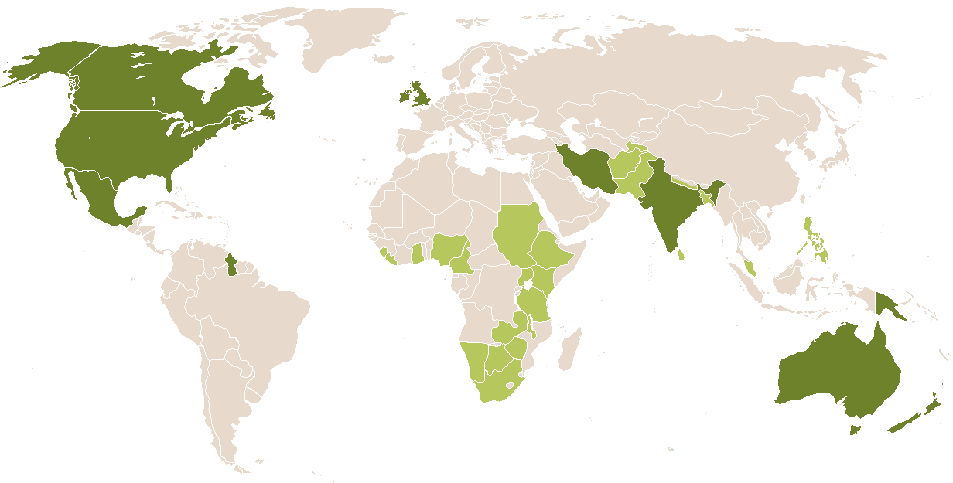 world popularity of Amia