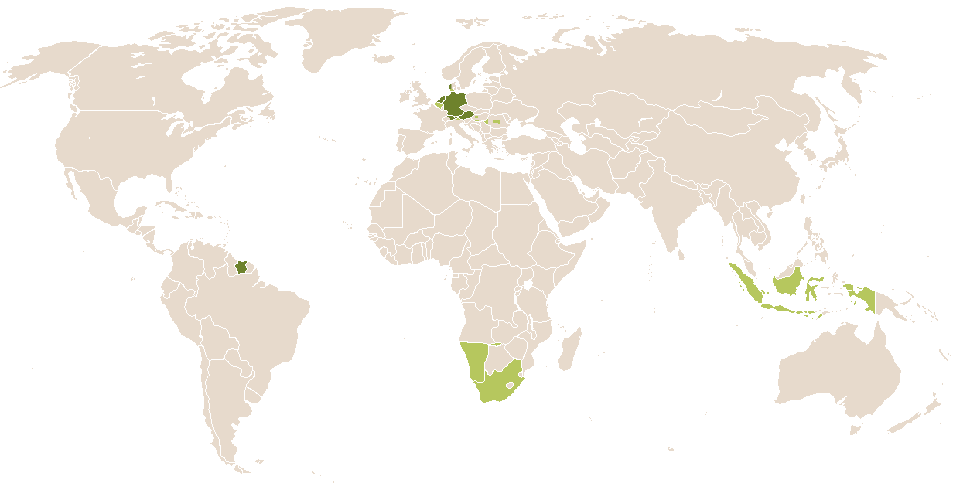 world popularity of Everdina