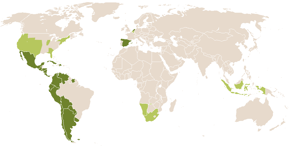 world popularity of Xavi