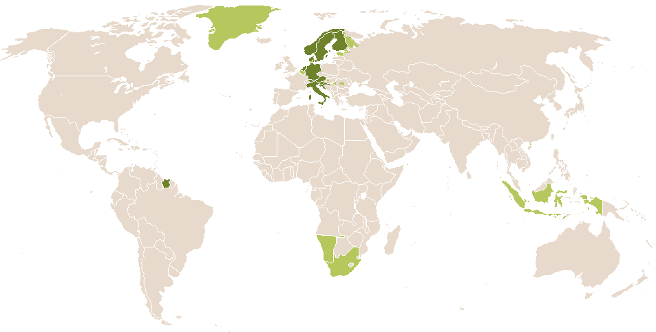 world popularity of Lio