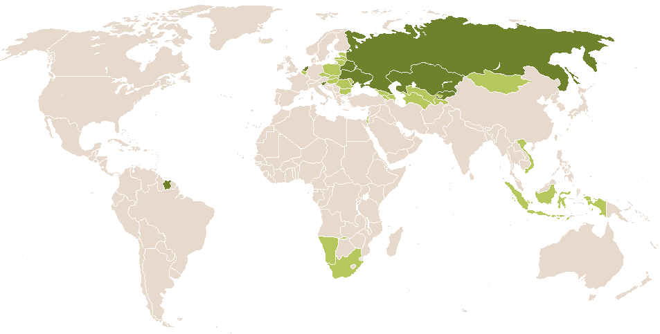 world popularity of Gusta