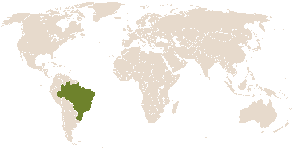 world popularity of Caco