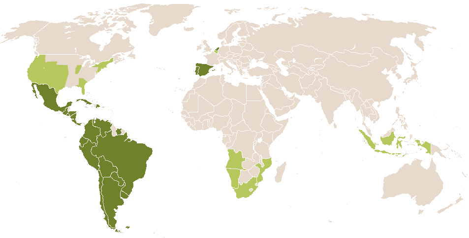 world popularity of Sebas