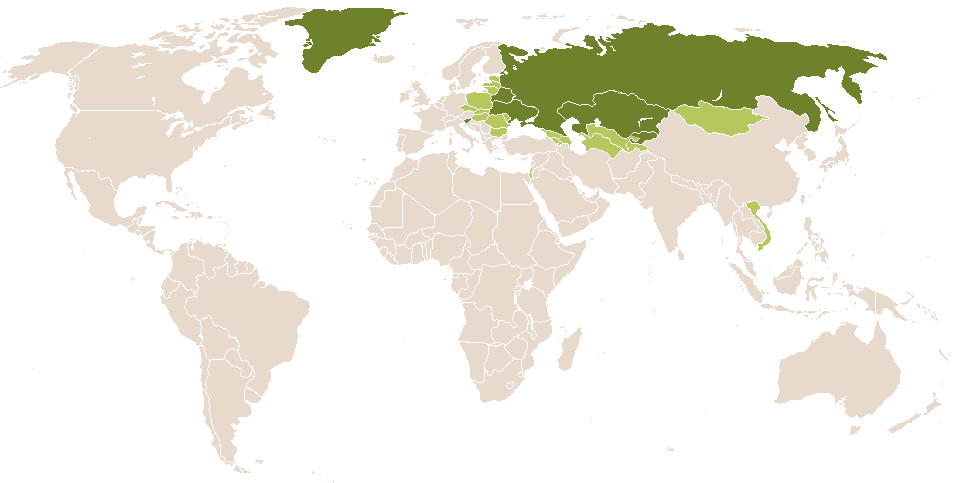 world popularity of Avgusta