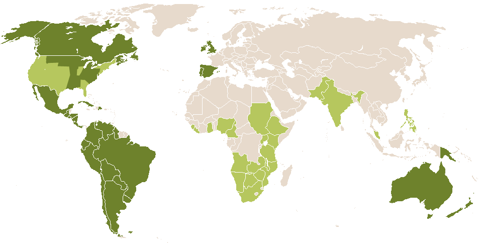 world popularity of Daiana