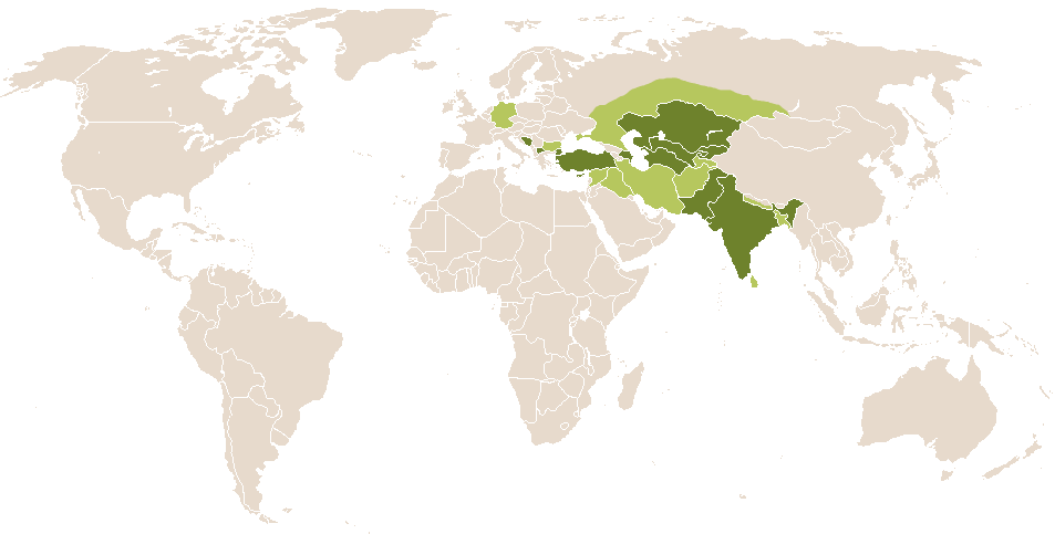 world popularity of Osman