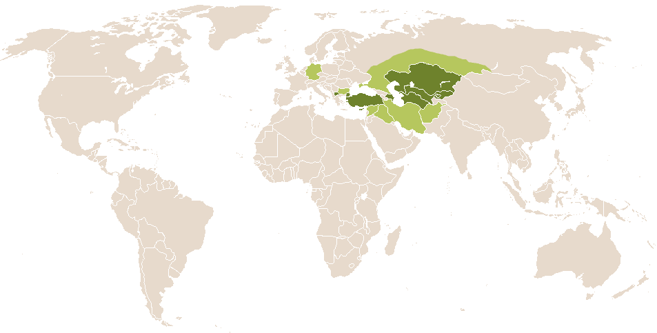 world popularity of Genghis
