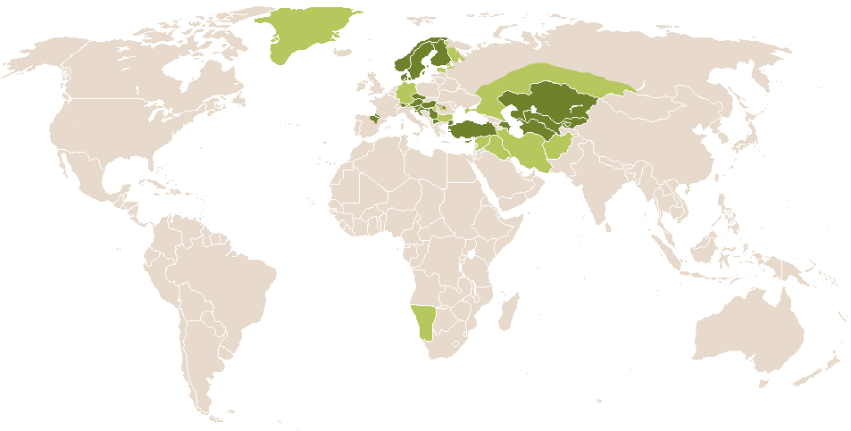 world popularity of Nikola