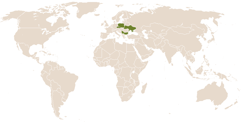 world popularity of Teofan