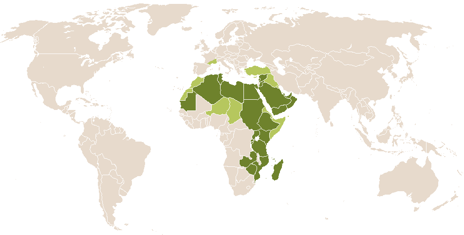 world popularity of Malaika