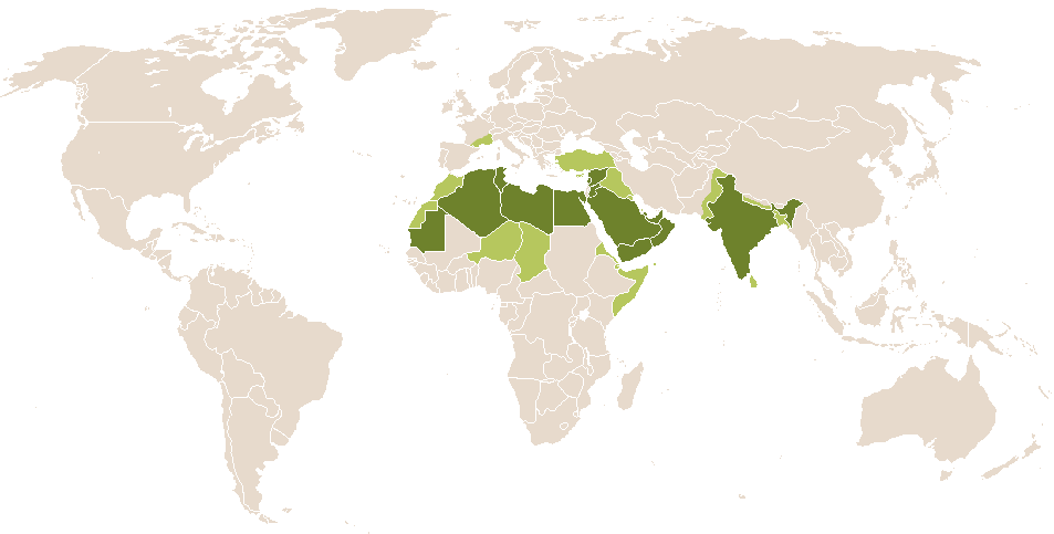 world popularity of Jayesh