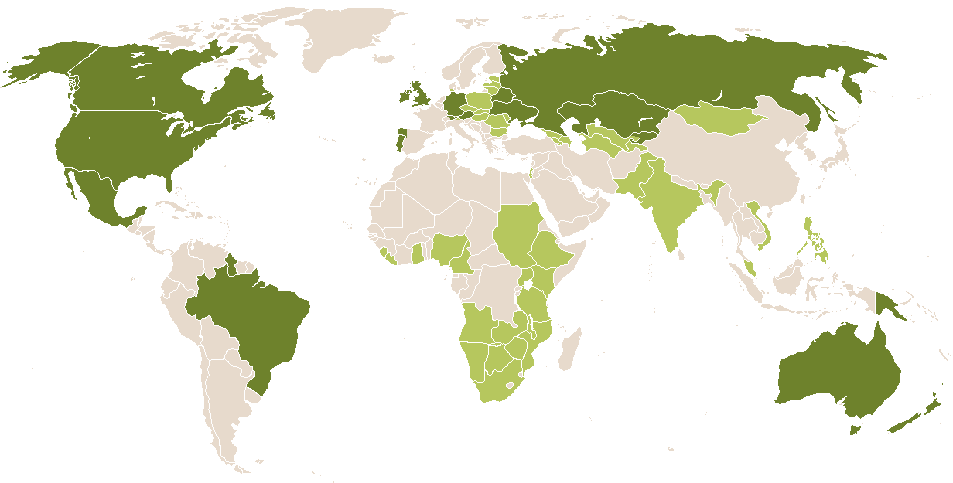 world popularity of Antenor