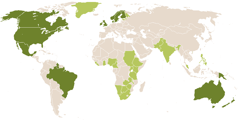 world popularity of Anjelica