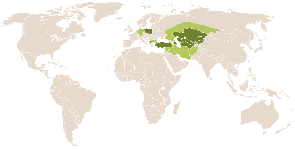 world popularity of Danaos