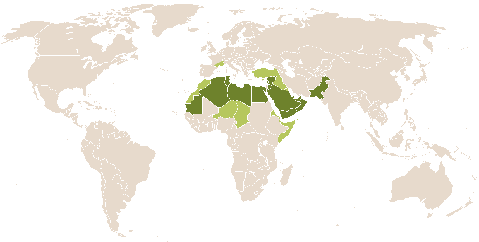 world popularity of Haniyah