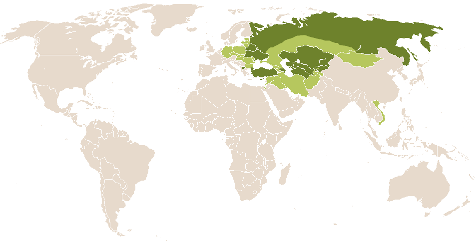 world popularity of Sofya