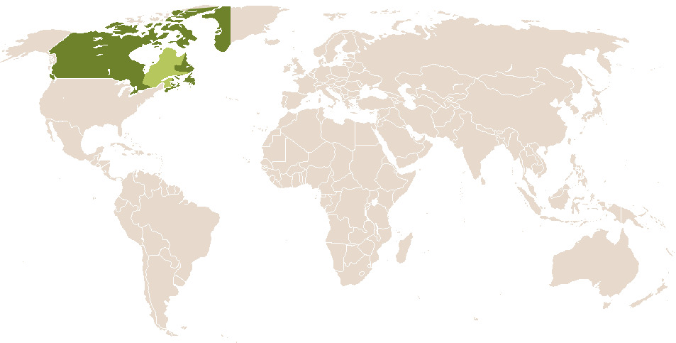 world popularity of Tattiawna