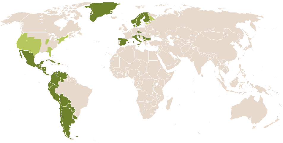 world popularity of Ivana