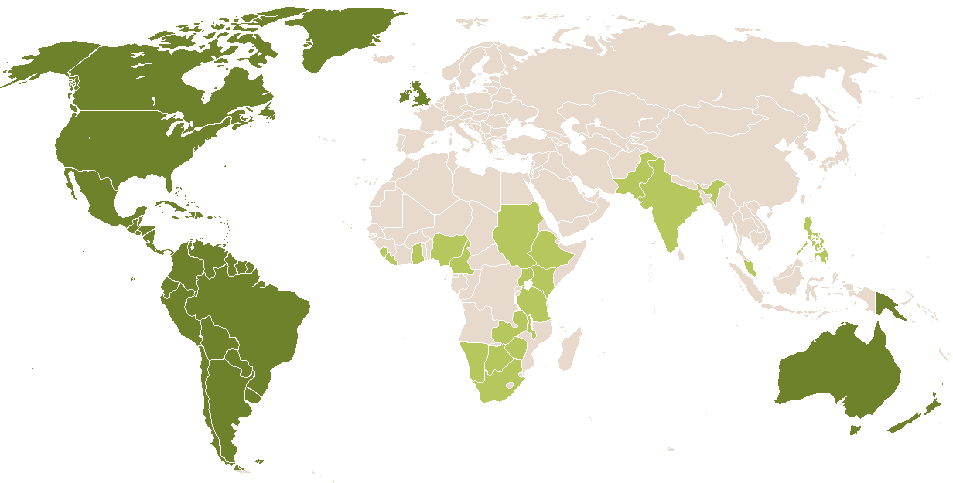 world popularity of Winona