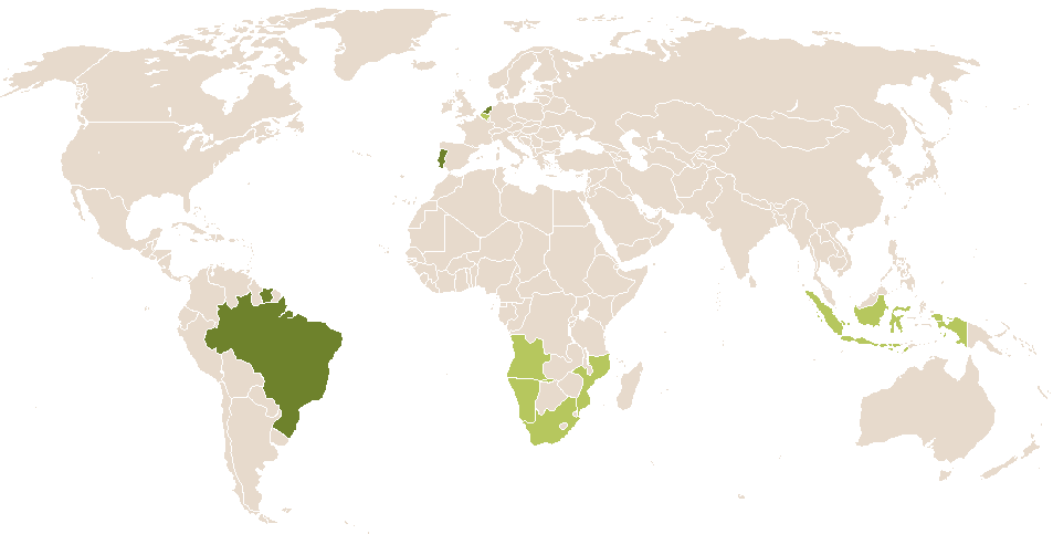world popularity of Baptista