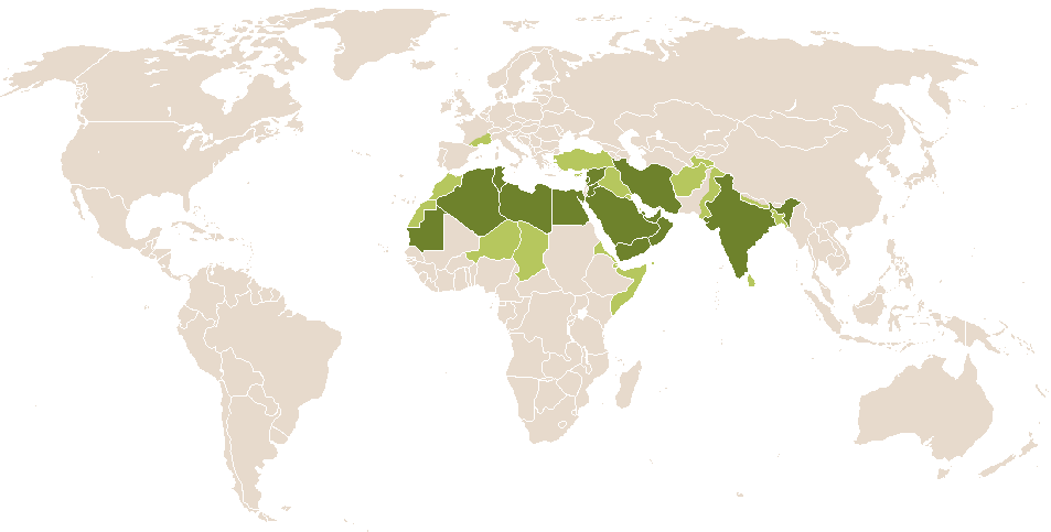 world popularity of Ammar