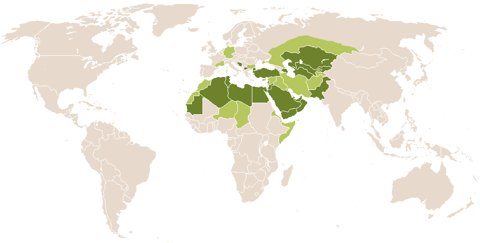 world popularity of Adnan