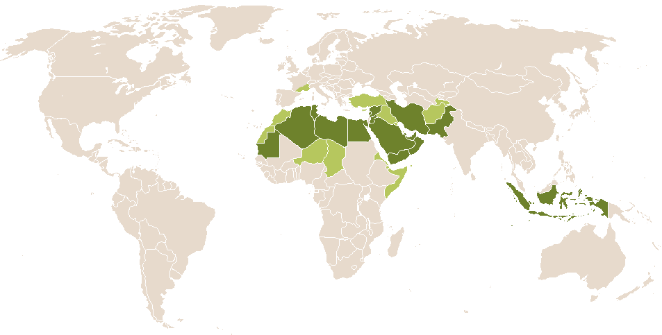 world popularity of Faizan