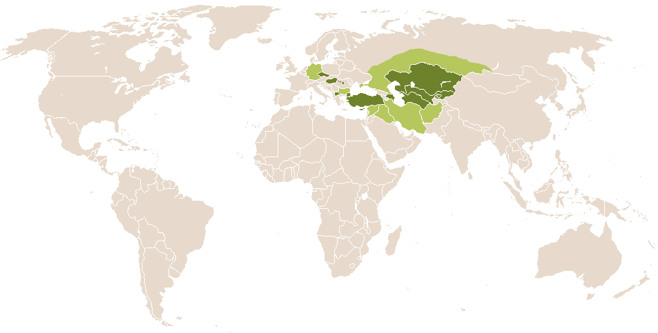 world popularity of Thaleia