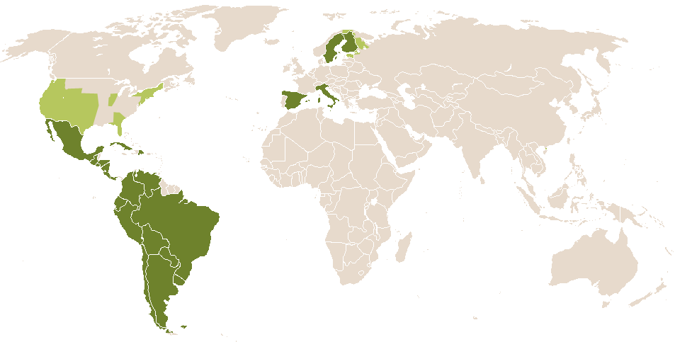 world popularity of Lisandra