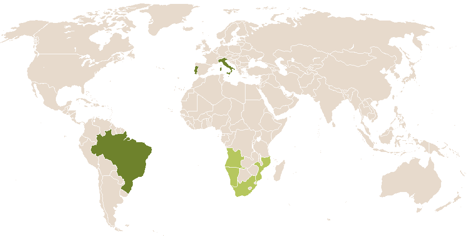 world popularity of Zefirino