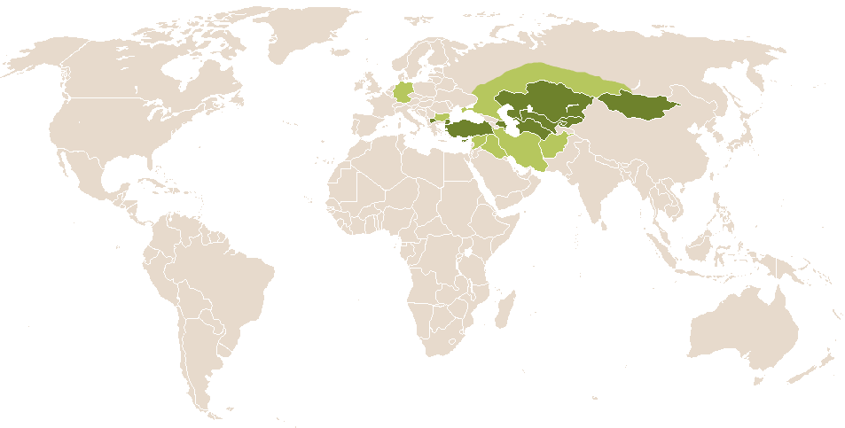world popularity of Altan