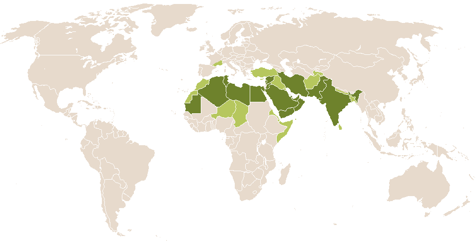 world popularity of Abida