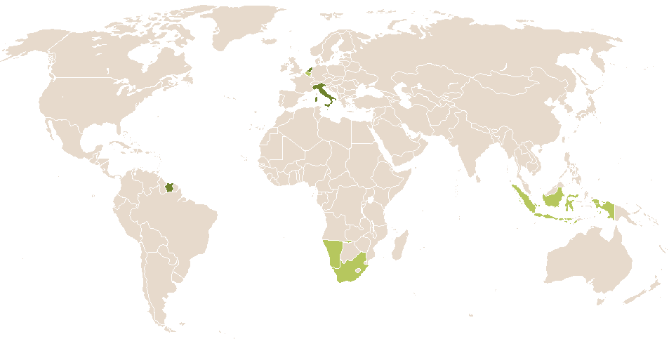 world popularity of Mauriana
