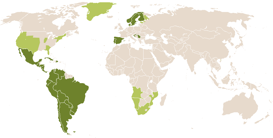 world popularity of Priscila