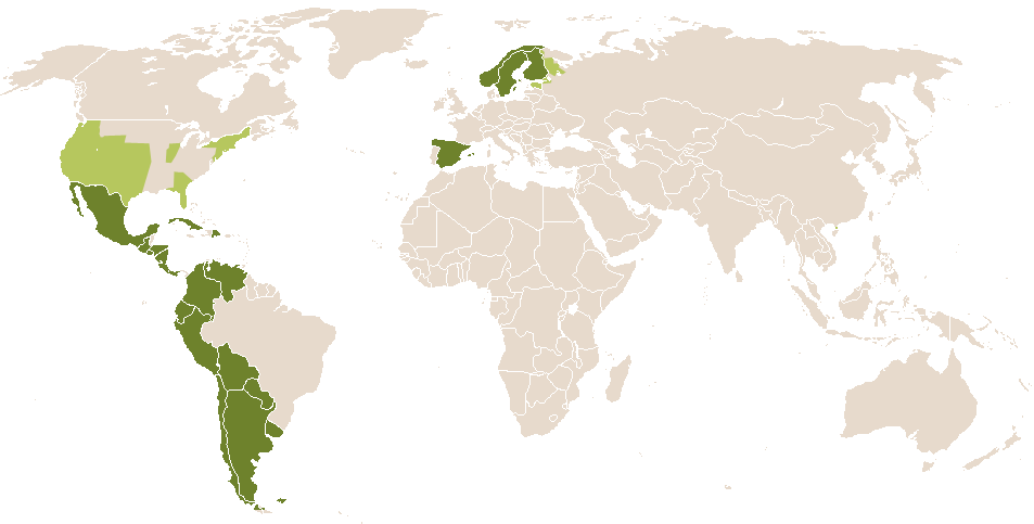 world popularity of Cinthia