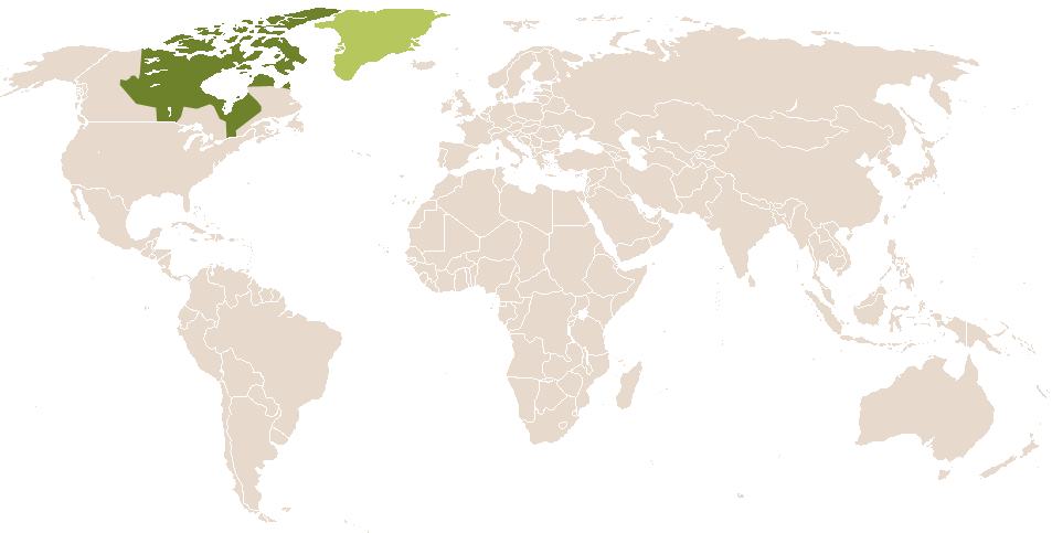 world popularity of Ekaluk