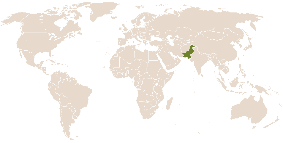 world popularity of Gulbahar