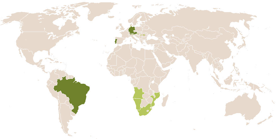 world popularity of Luzia